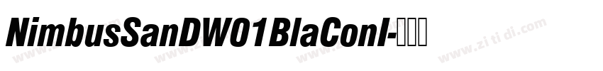NimbusSanDW01BlaConI字体转换