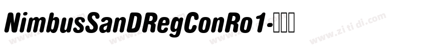 NimbusSanDRegConRo1字体转换