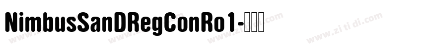NimbusSanDRegConRo1字体转换
