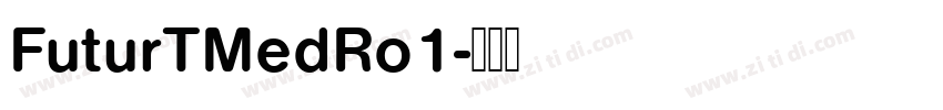 FuturTMedRo1字体转换