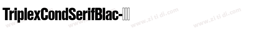 TriplexCondSerifBlac字体转换 TriplexCondSerifBlac字体转换