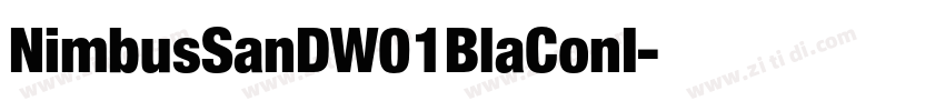 NimbusSanDW01BlaConI字体转换