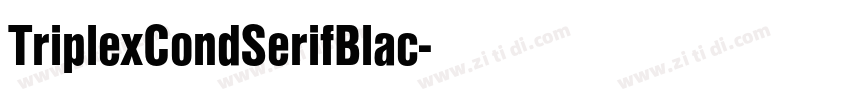 TriplexCondSerifBlac字体转换 TriplexCondSerifBlac字体转换