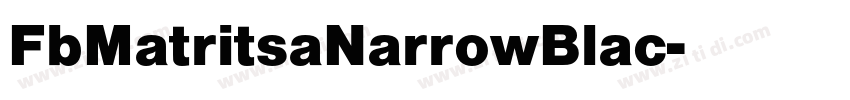 FbMatritsaNarrowBlac字体转换