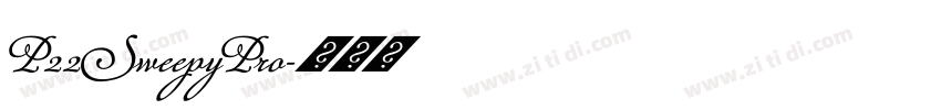 P22SweepyPro字体转换