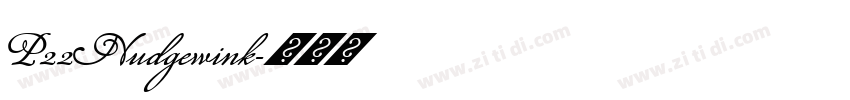 P22Nudgewink字体转换