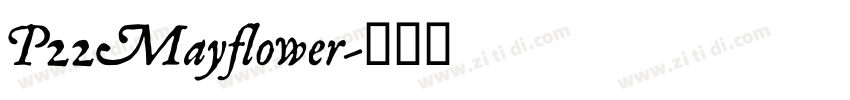 P22Mayflower字体转换