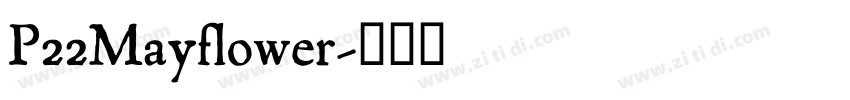 P22Mayflower字体转换