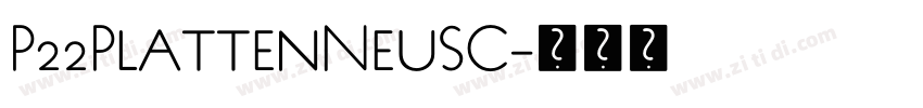 P22PlattenNeuSC字体转换 P22PlattenNeuSC字体转换