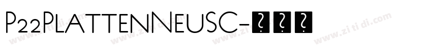 P22PlattenNeuSC字体转换 P22PlattenNeuSC字体转换