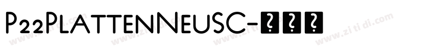 P22PlattenNeuSC字体转换 P22PlattenNeuSC字体转换