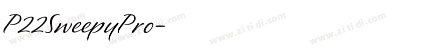 P22SweepyPro字体转换