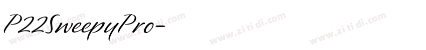 P22SweepyPro字体转换