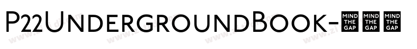 P22UndergroundBook字体转换