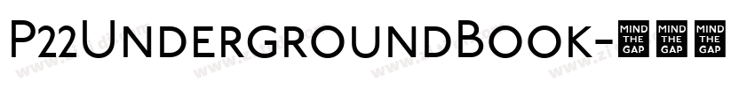 P22UndergroundBook字体转换