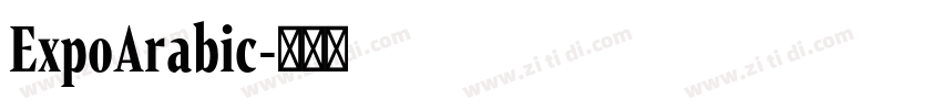 ExpoArabic字体转换