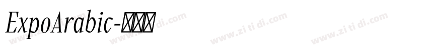 ExpoArabic字体转换