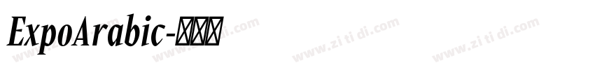 ExpoArabic字体转换
