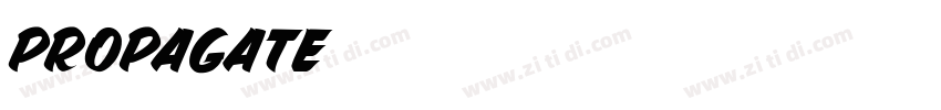 Propagate字体转换
