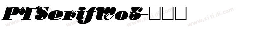 PTSerifW05字体转换