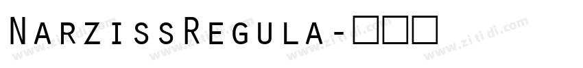 NarzissRegula字体转换