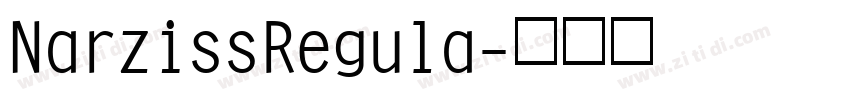 NarzissRegula字体转换