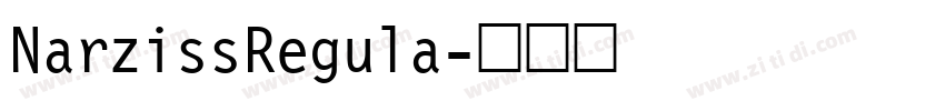 NarzissRegula字体转换