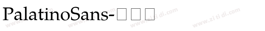 PalatinoSans字体转换