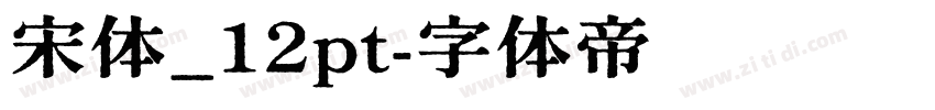 宋体_12pt字体转换