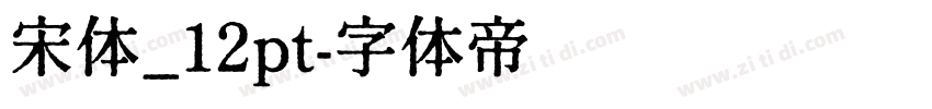 宋体_12pt字体转换