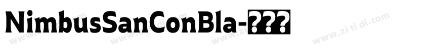 NimbusSanConBla字体转换 NimbusSanConBla字体转换