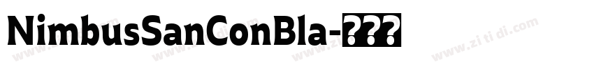 NimbusSanConBla字体转换