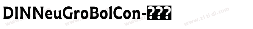 DINNeuGroBolCon字体转换 DINNeuGroBolCon字体转换