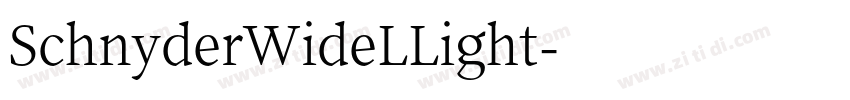 SchnyderWideLLight字体转换