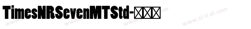 TimesNRSevenMTStd字体转换