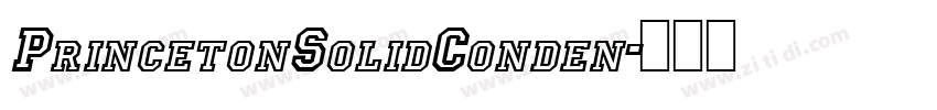 PrincetonSolidConden字体转换