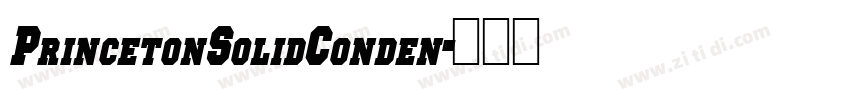 PrincetonSolidConden字体转换