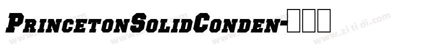 PrincetonSolidConden字体转换