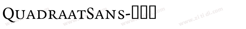 QuadraatSans字体转换