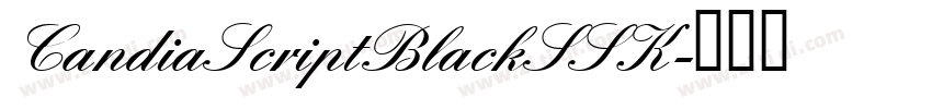 CandiaScriptBlackSSK字体转换