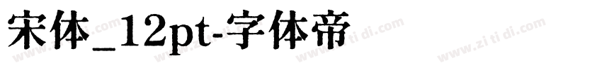 宋体_12pt字体转换