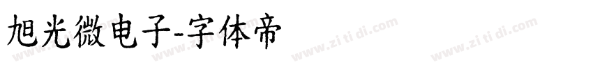 旭光微电子字体转换
