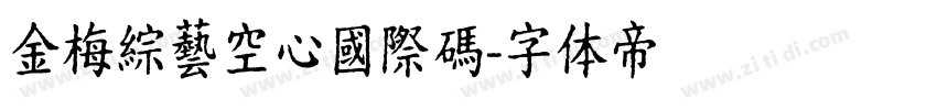 金梅綜藝空心國際碼字体转换