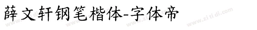 薛文轩钢笔楷体字体转换