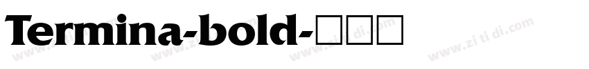 Termina-bold字体转换