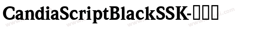 CandiaScriptBlackSSK字体转换