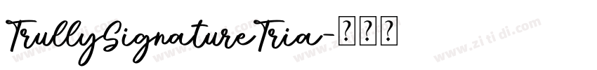 TrullySignatureTria字体转换