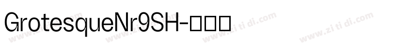 GrotesqueNr9SH字体转换