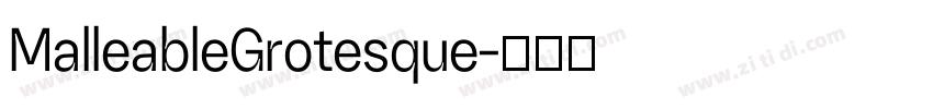 MalleableGrotesque字体转换