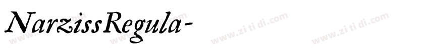 NarzissRegula字体转换